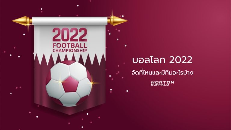 บอลโลก 2022 จัดที่ไหนและมีทีมอะไรบ้าง