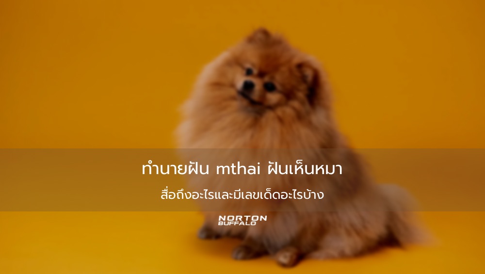 ทำนายฝัน mthai ฝันเห็นหมา สื่อถึงอะไรและมีเลขเด็ดอะไรบ้าง