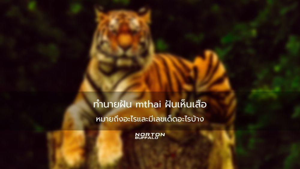 ทำนายฝัน mthai ฝันเห็นเสือ หมายถึงอะไรและมีเลขเด็ดอะไรบ้าง