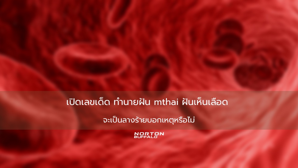 เปิดเลขเด็ด ทำนายฝัน mthai ฝันเห็นเลือด จะเป็นลางร้ายบอกเหตุหรือไม่