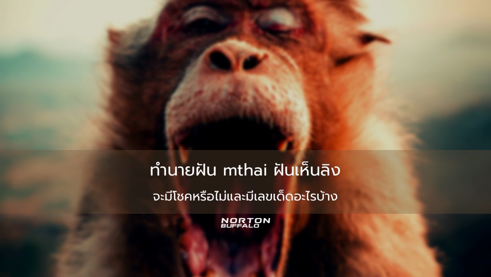 ทำนายฝัน mthai ฝันเห็นลิง จะมีโชคหรือไม่และมีเลขเด็ดอะไรบ้าง
