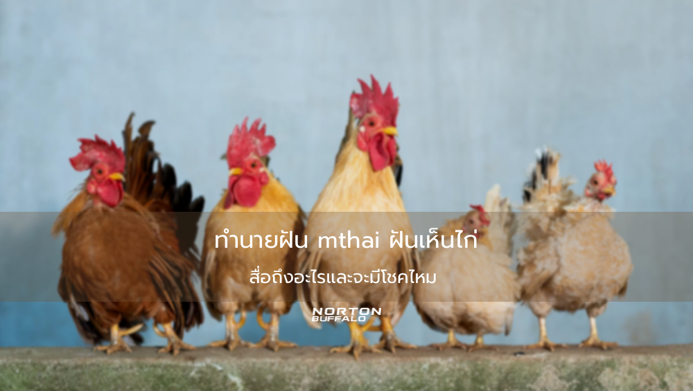 ทำนายฝัน mthai ฝันเห็นไก่ สื่อถึงอะไรและจะมีโชคไหม 
